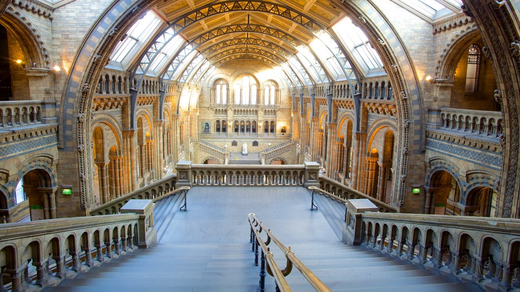 London Natural History Museum caracterizando elementos de patrimônio, vistas internas e arquitetura de patrimônio