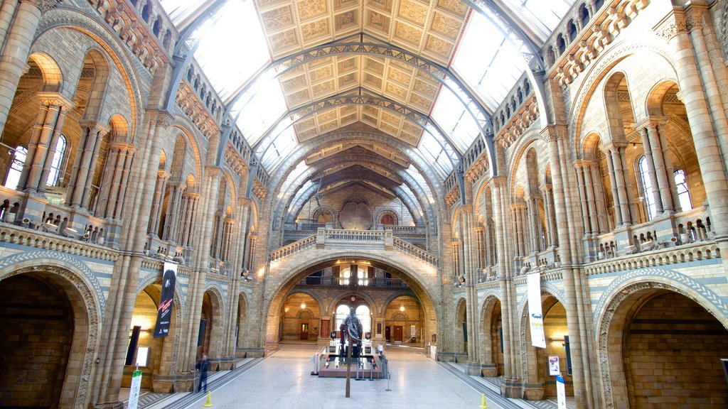 Museo de Historia Natural de Londres que incluye vistas interiores, elementos del patrimonio y patrimonio de arquitectura