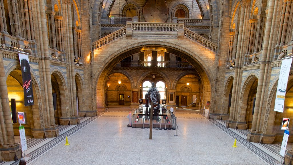 London Natural History Museum som omfatter kulturarvsgenstande, historiske bygningsværker og interiør