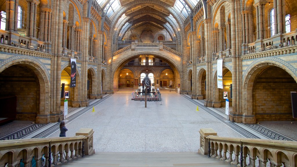 London Natural History Museum que inclui elementos de patrimônio, vistas internas e arquitetura de patrimônio