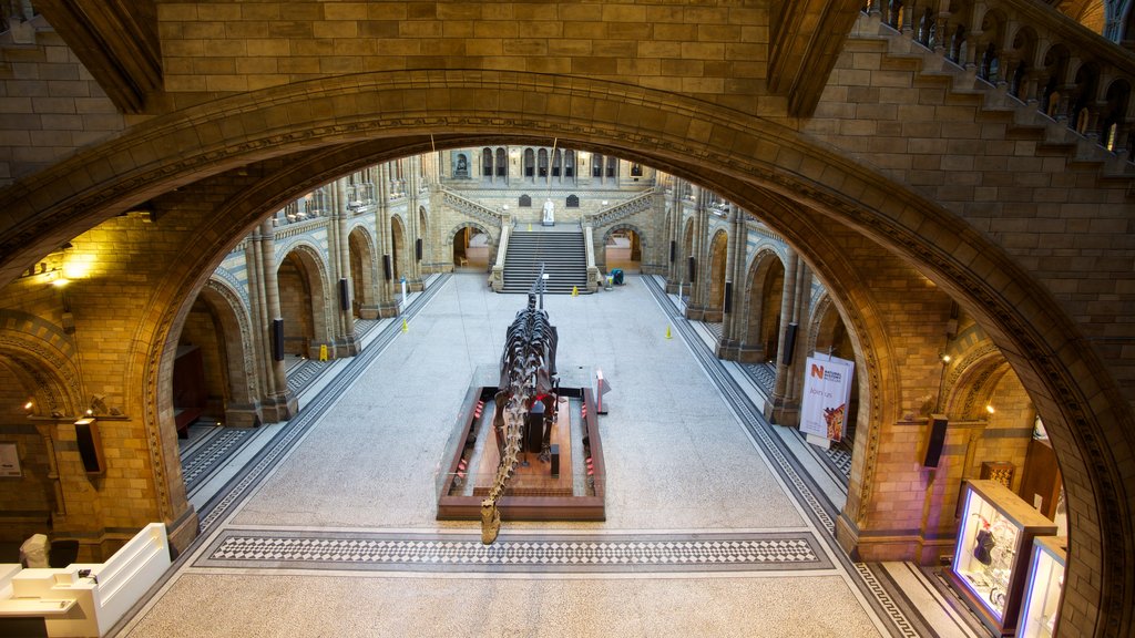 Museo de Historia Natural de Londres mostrando elementos del patrimonio, vistas interiores y patrimonio de arquitectura