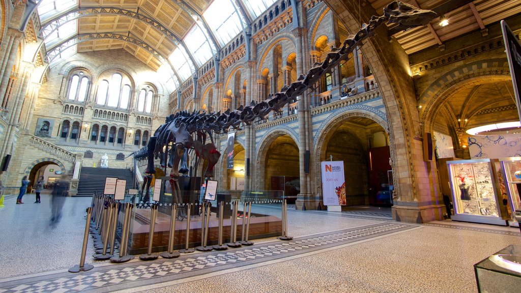 London Natural History Museum montrant patrimoine architectural, patrimoine historique et vues intérieures