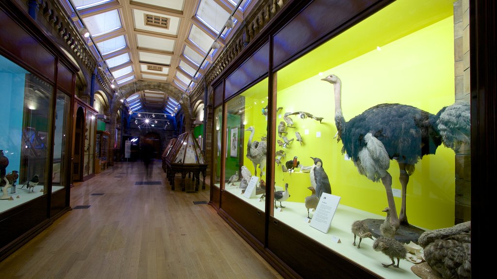 Museo de Historia Natural de Londres ofreciendo elementos patrimoniales, vista interna y arquitectura patrimonial