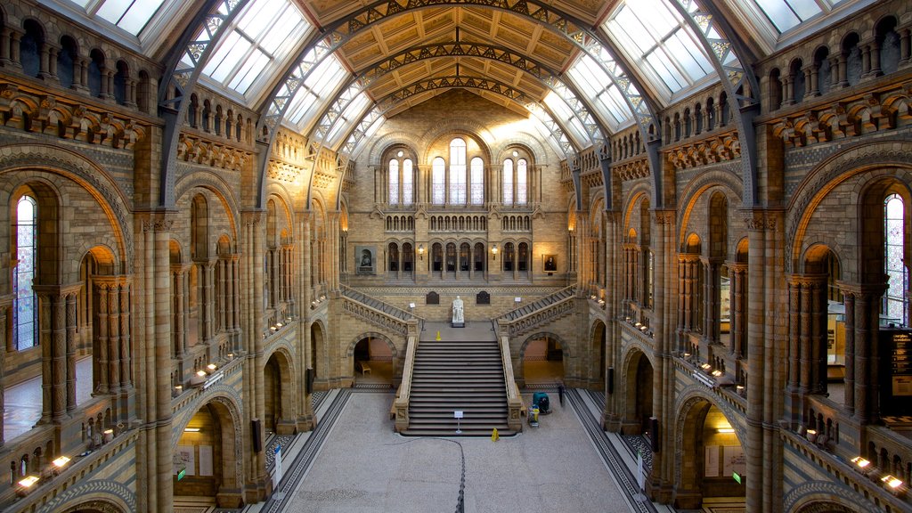 London Natural History Museum featuring heritage elements, interior views and heritage architecture