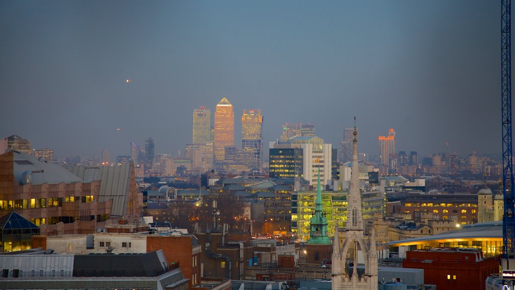 The Monument showing skyline and a city