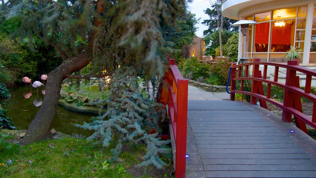 Kensington Roof Gardens which includes a bridge and a park