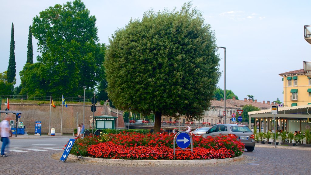 Peschiera del Garda showing flowers, a city and street scenes