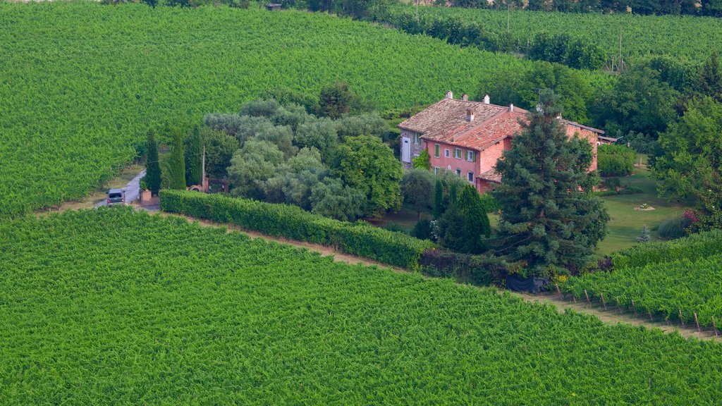 Tower of St. Martin showing farmland