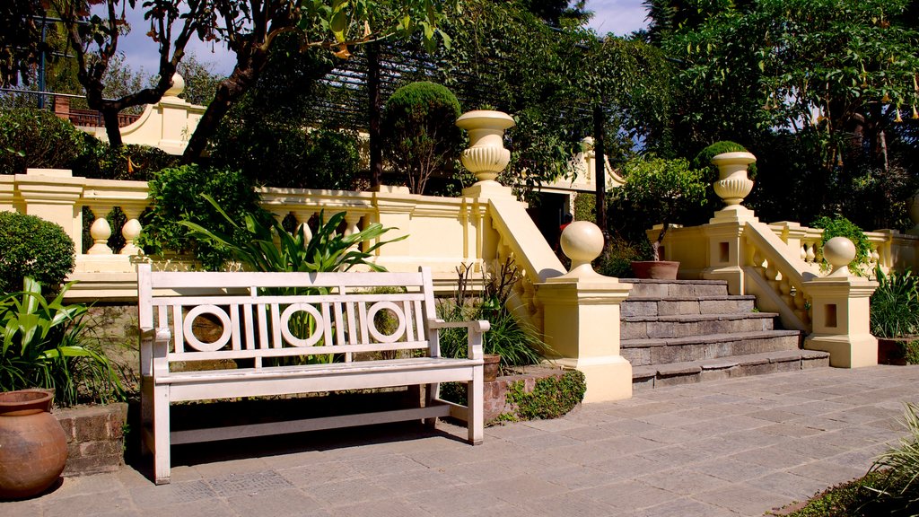 Jardín de los Sueños que incluye un parque