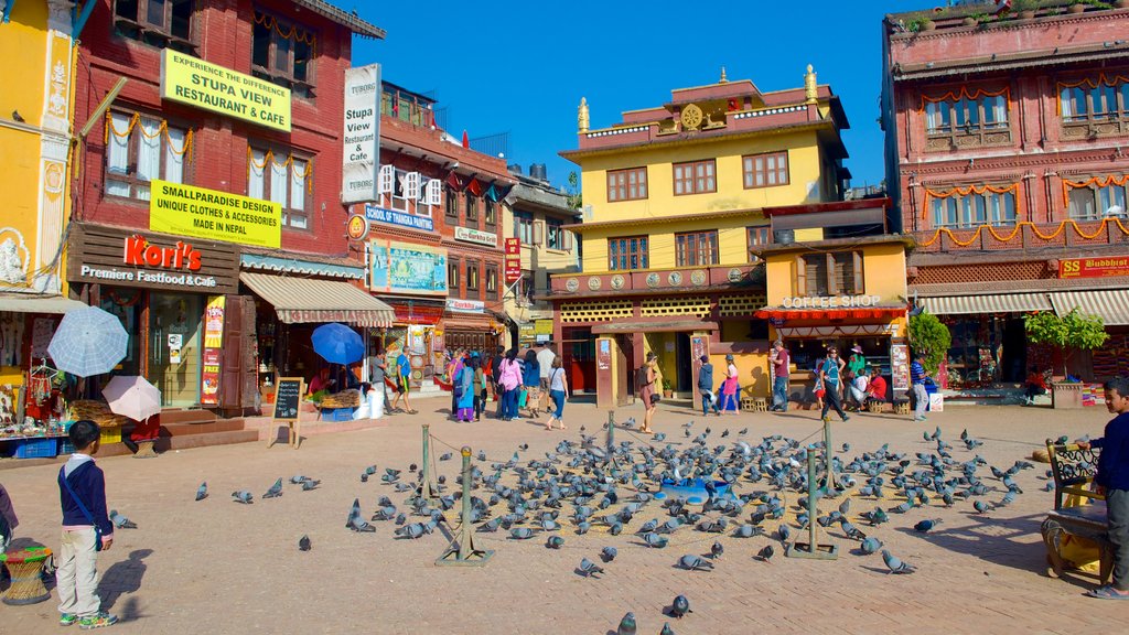 Boudhanath which includes a city