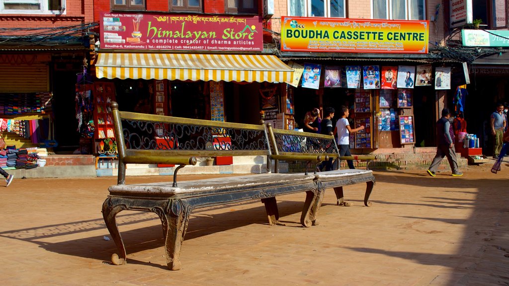 Boudhanath showing a city