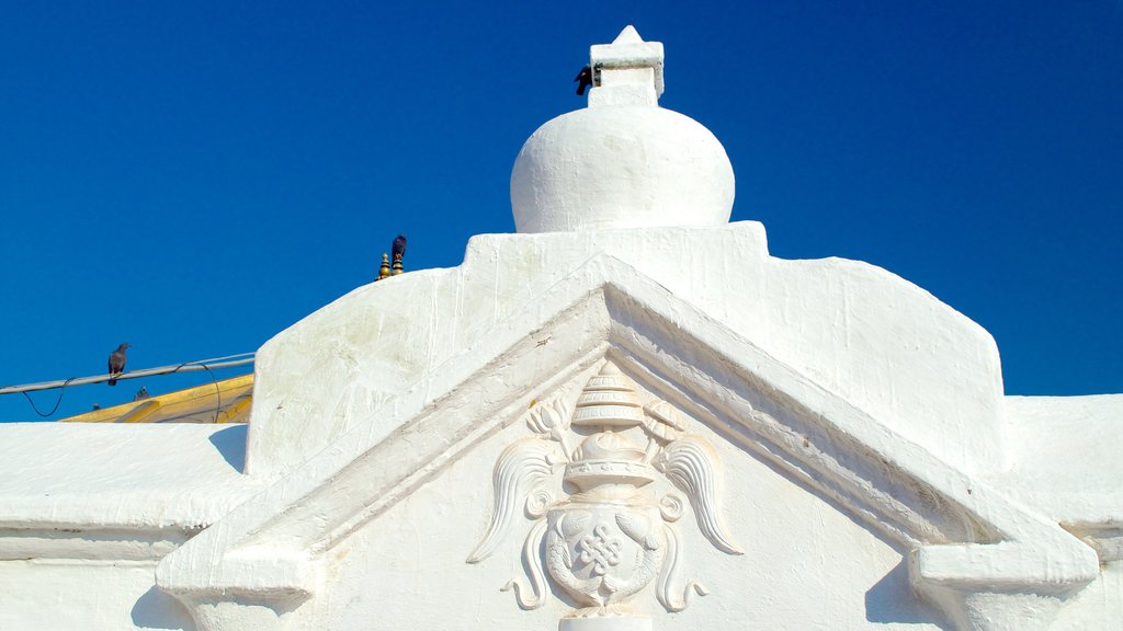 Boudhanath que incluye aspectos religiosos