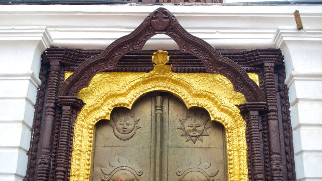 Pashupatinath-templet presenterar ett tempel eller plats för dyrkan