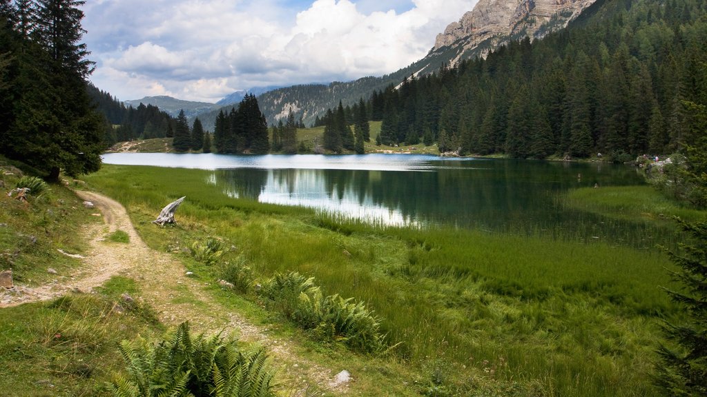 Madonna di Campiglio mostrando un lago o espejo de agua y escenas tranquilas