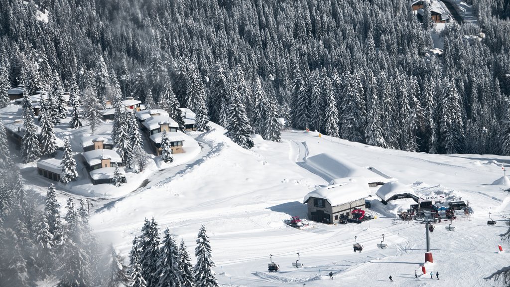 Madonna di Campiglio which includes snow, forests and a small town or village