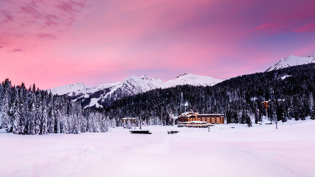 Madonna di Campiglio showing a sunset, a small town or village and snow