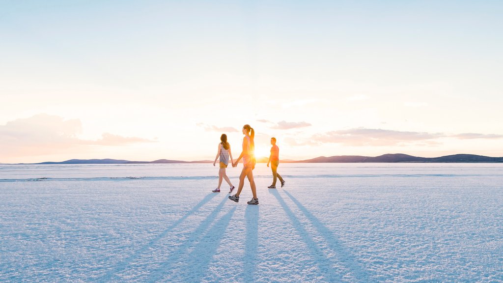 Eyre Peninsula featuring tranquil scenes and a sunset as well as a small group of people