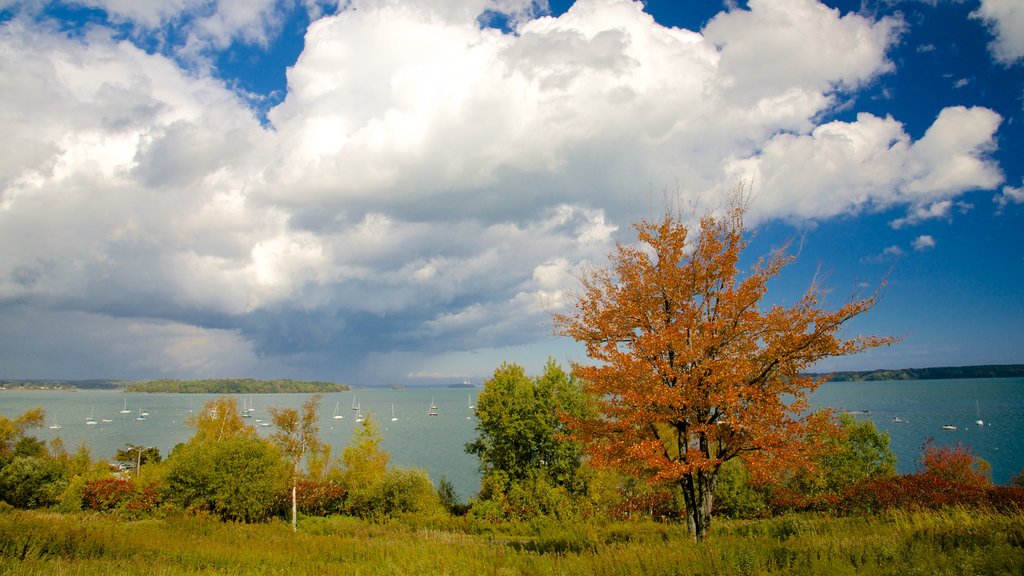 Portland featuring a bay or harbour and autumn colours