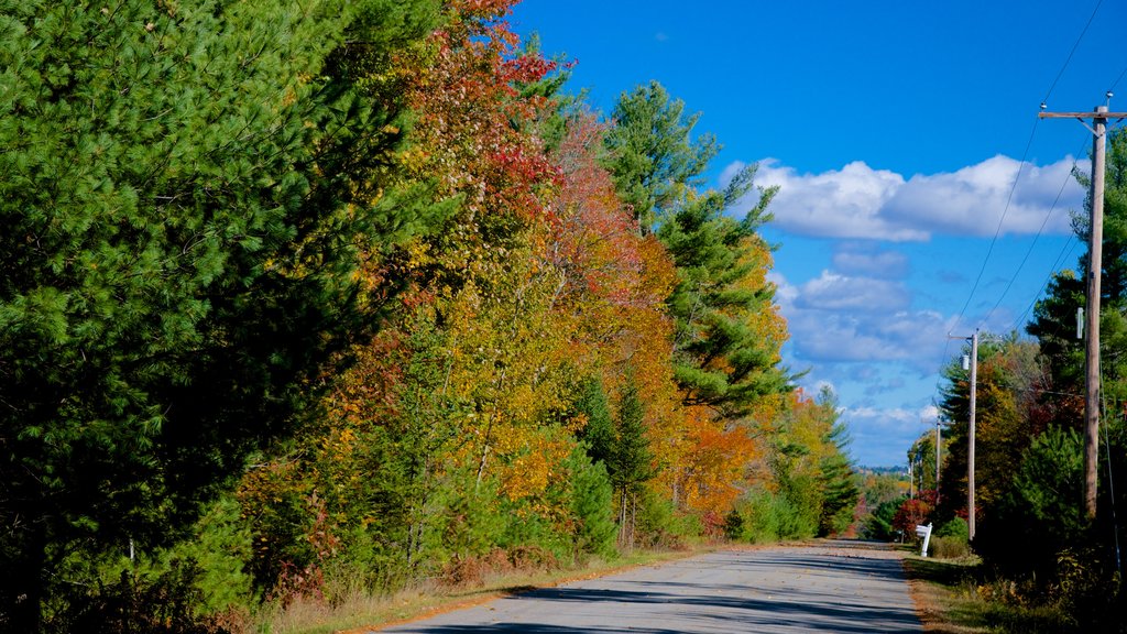 Bangor mettant en vedette couleurs d’automne