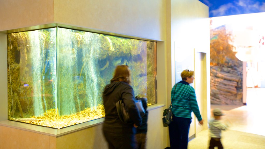 National Great Rivers Museum featuring interior views as well as a family