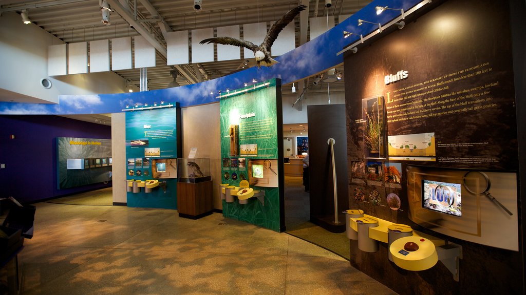 National Great Rivers Museum featuring interior views