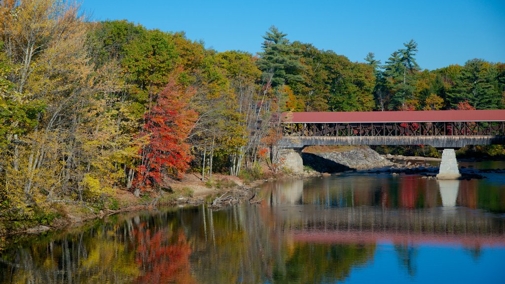 Conway which includes a river or creek, autumn colours and a bridge