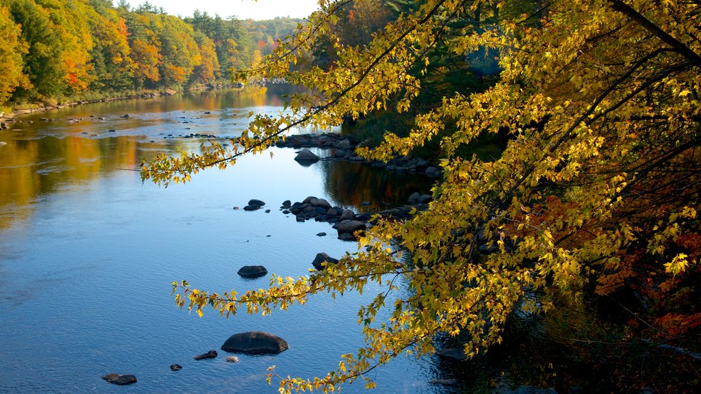 Conway featuring a garden, a river or creek and fall colors