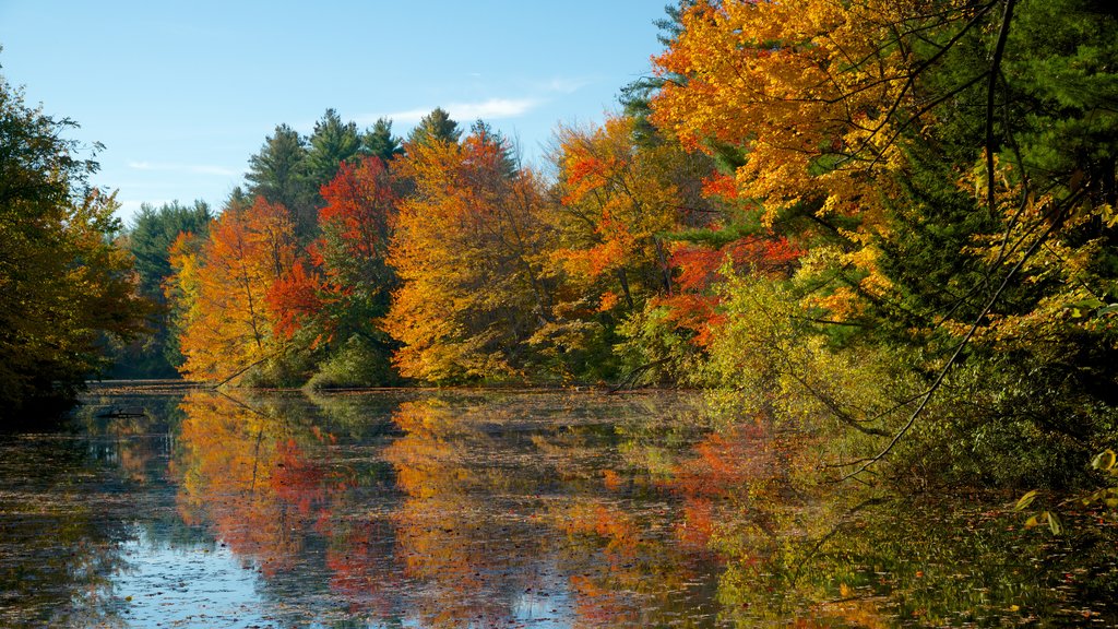 Conway which includes fall colors and a lake or waterhole