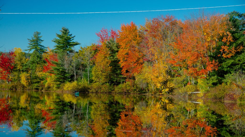 Conway montrant une rivière ou un ruisseau, feuilles d’automne et un parc