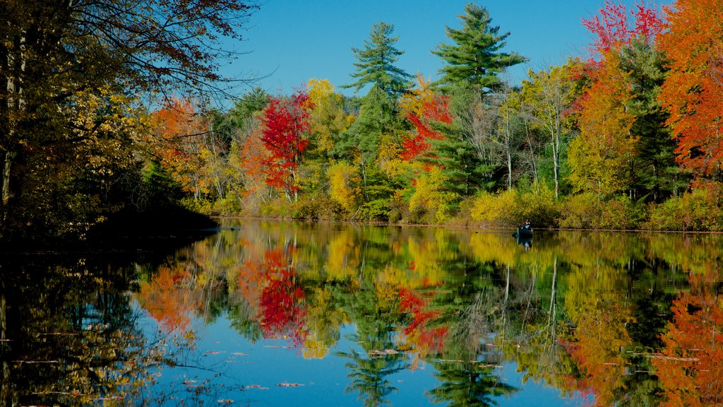 Conway que incluye hojas de otoño, un jardín y un río o arroyo