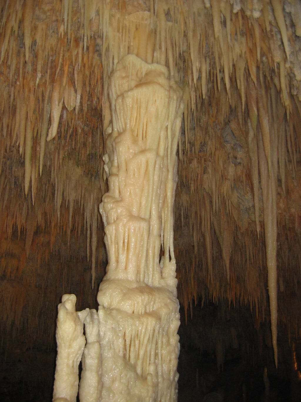 Caverna delle Grotte di Castellana (Di ReMagio di Wikipedia in italiano - Trasferito da it.wikipedia su Commons da Marcok., Pubblico dominio, https://commons.wikimedia.org/w/index.php?curid=3751312 )
