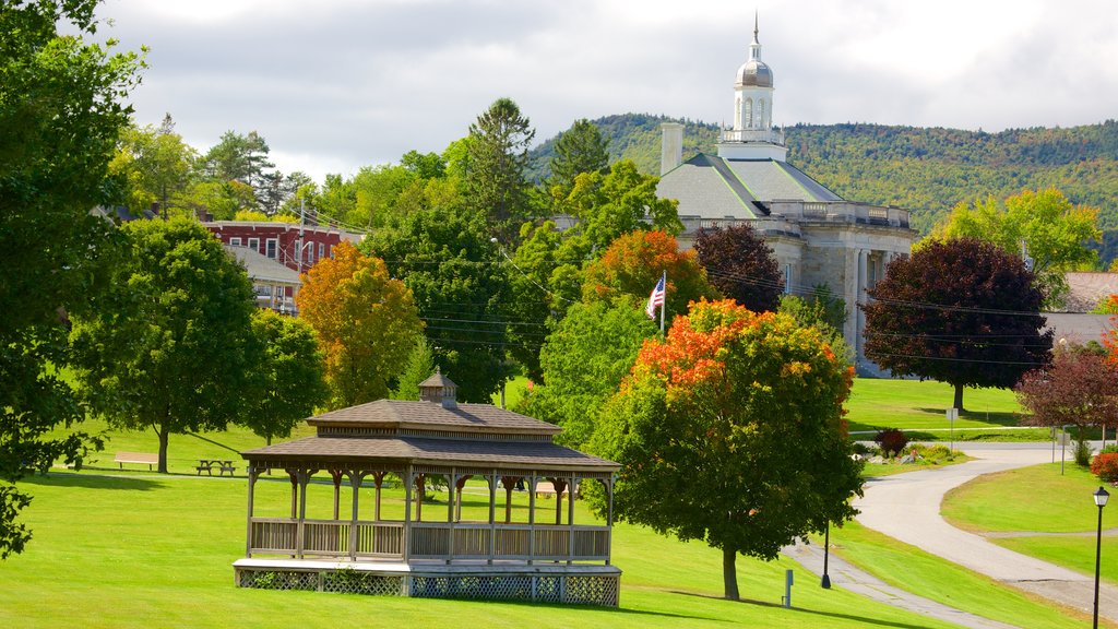 Ticonderoga showing a park