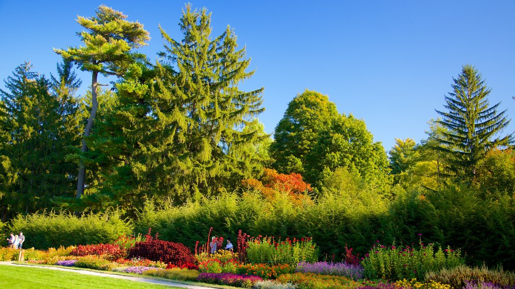 Hudson Valley showing a garden