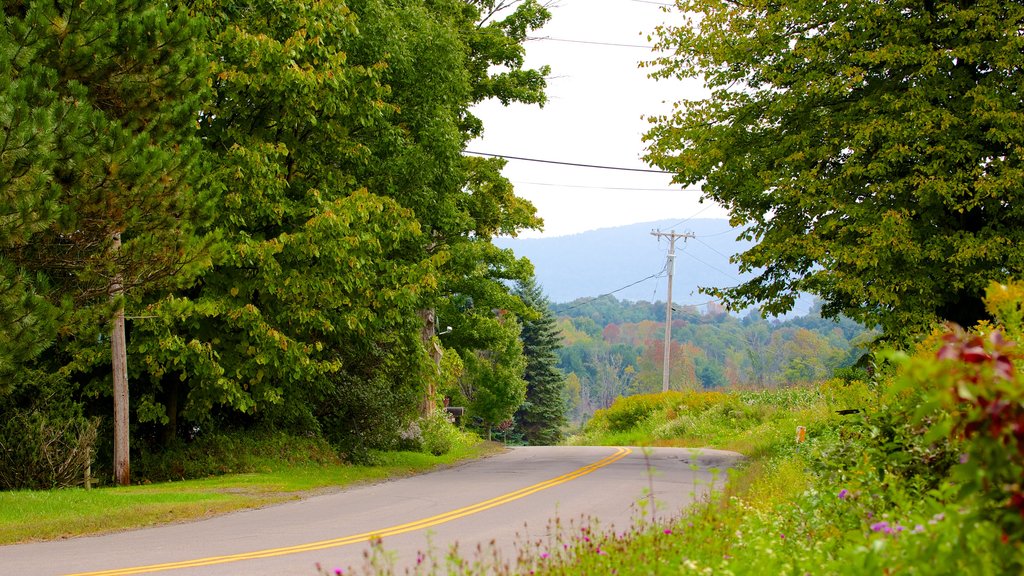 Cooperstown montrant un jardin