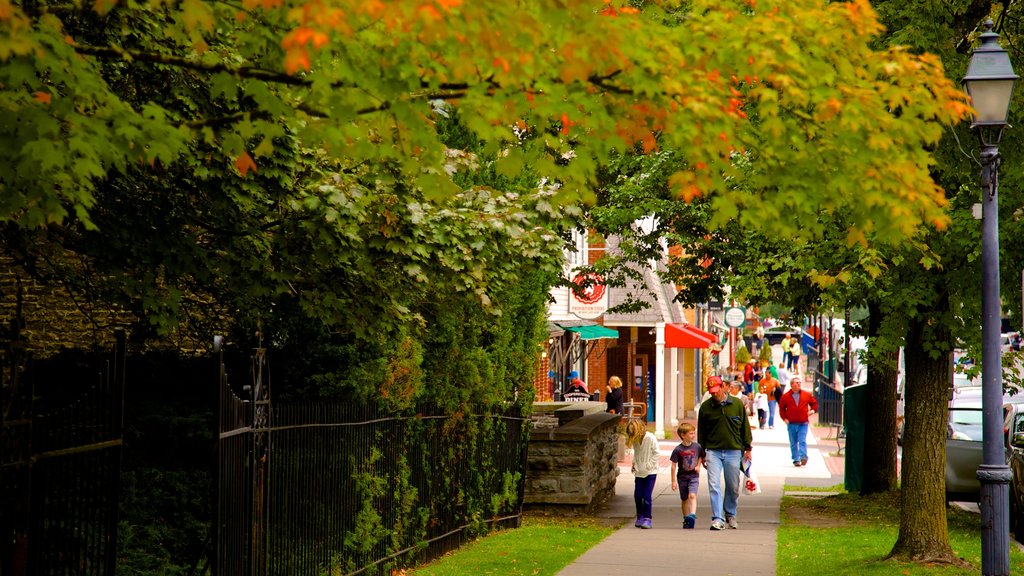 Cooperstown featuring autumn leaves