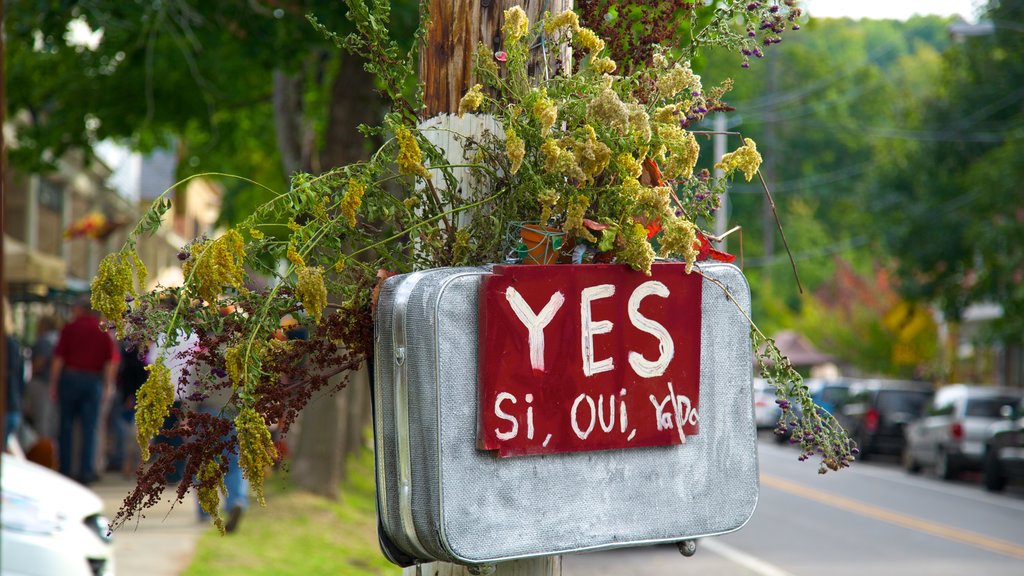 Sharon Springs which includes signage