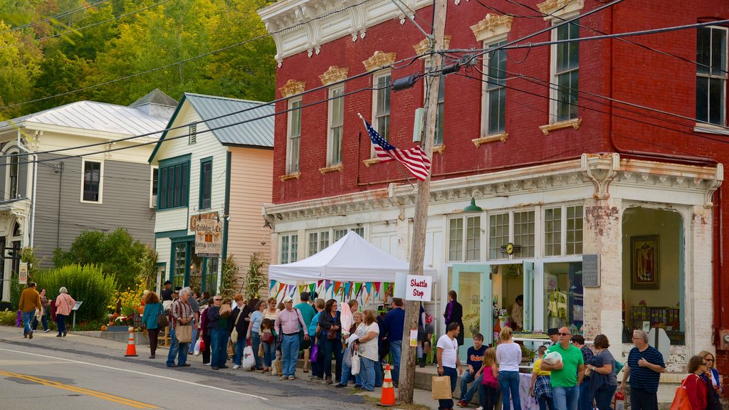 Sharon Springs showing a city as well as a large group of people