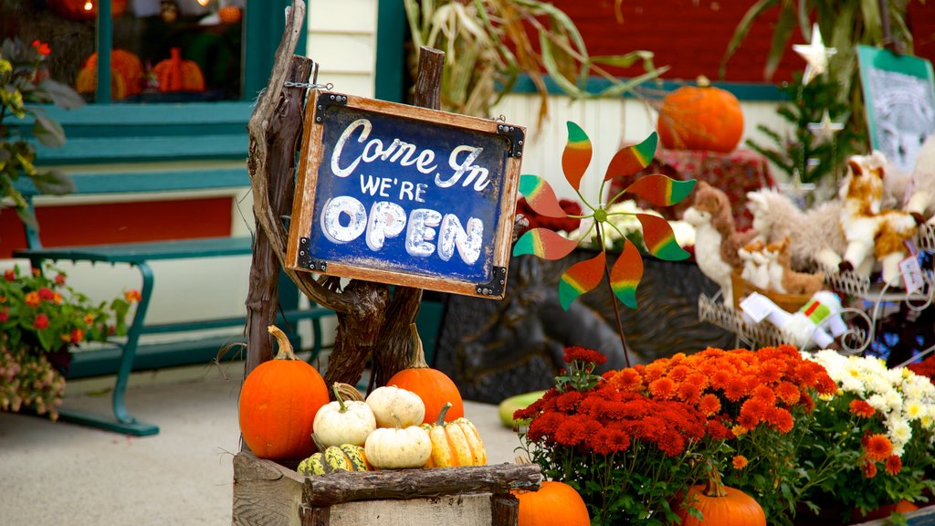 Sharon Springs which includes signage and flowers