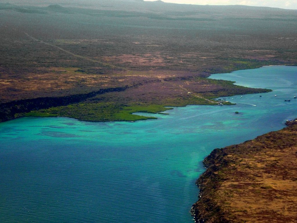 Galapagos (Di David Adam Kess - Opera propria, CC BY-SA 3.0, https://commons.wikimedia.org/w/index.php?curid=17628057 )