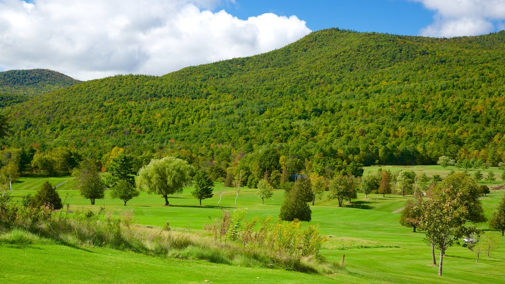 Ticonderoga showing tranquil scenes