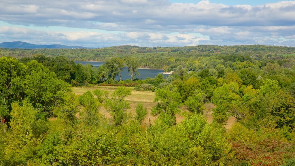 Fort Ticonderoga mettant en vedette paysages paisibles et un lac ou un point d’eau