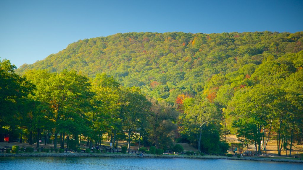 Bear Mountain State Park ofreciendo escenas tranquilas y un río o arroyo