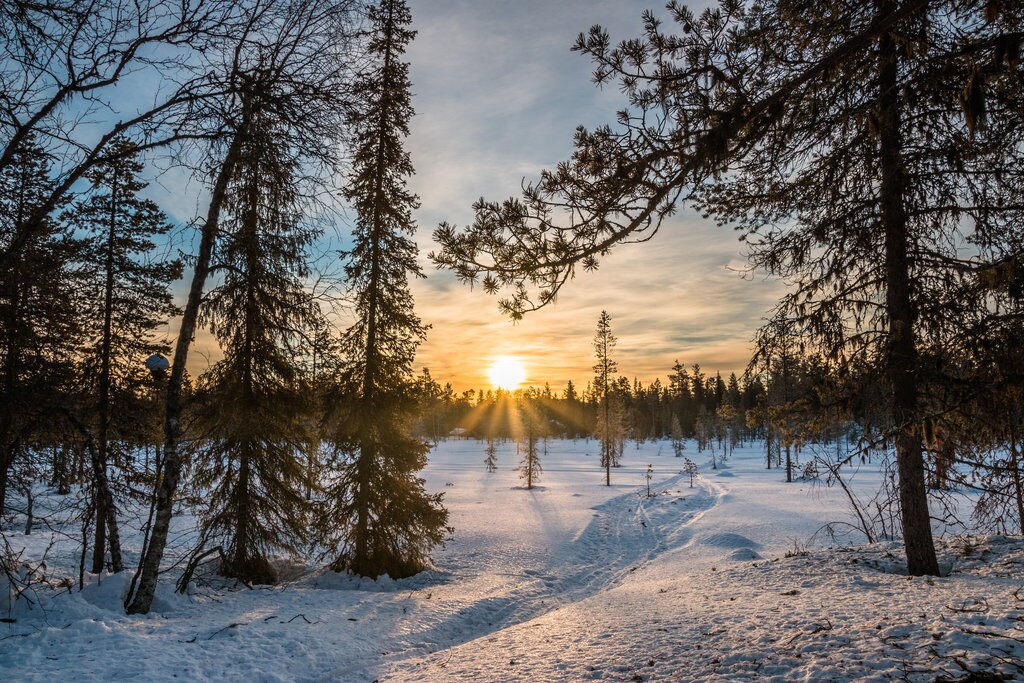 Lapponia (by Markus Trienke, CC BY-SA 2.0 - https://www.flickr.com/photos/mtrienke/26118390872/ )