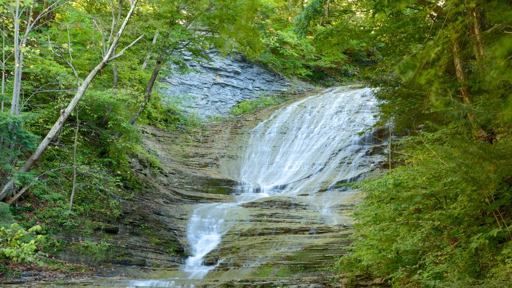 Buttermilk Falls State Park featuring a river or creek and tranquil scenes