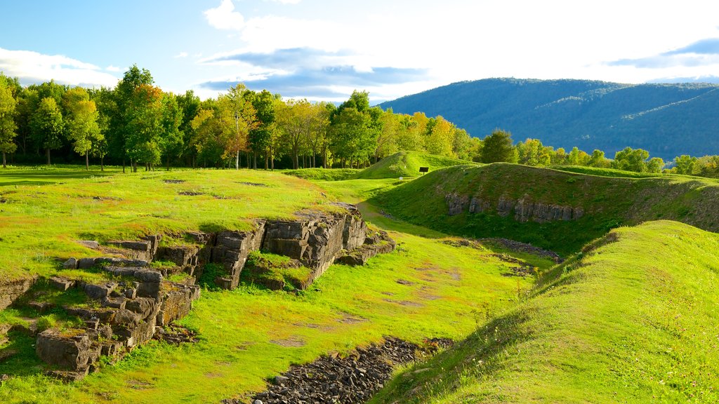 Crown Point State Historic Site showing building ruins and a garden