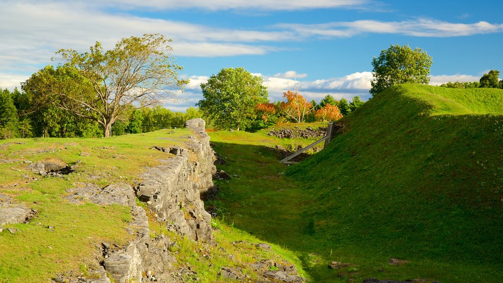 Lugar histórico estatal de Crown Point ofreciendo un jardín y una ruina