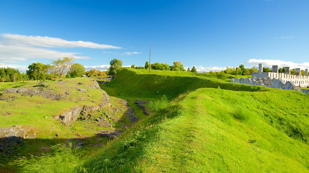 Crown Point State Historic Site featuring a park and building ruins