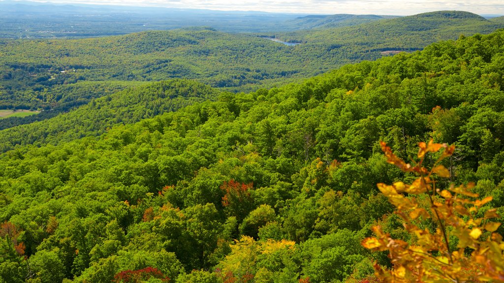 Lake George montrant paysages paisibles