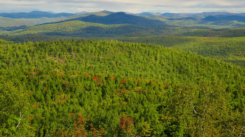 Lake George som visar stillsam natur