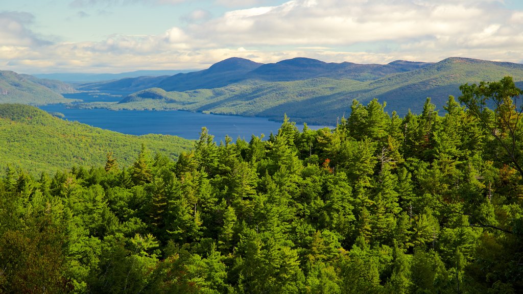 Lake George og byder på fredfyldte omgivelser og en sø eller et vandhul